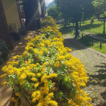 Apartmán Castagno 1 Sentiero Del Viandante Bellano Exteriér fotografie