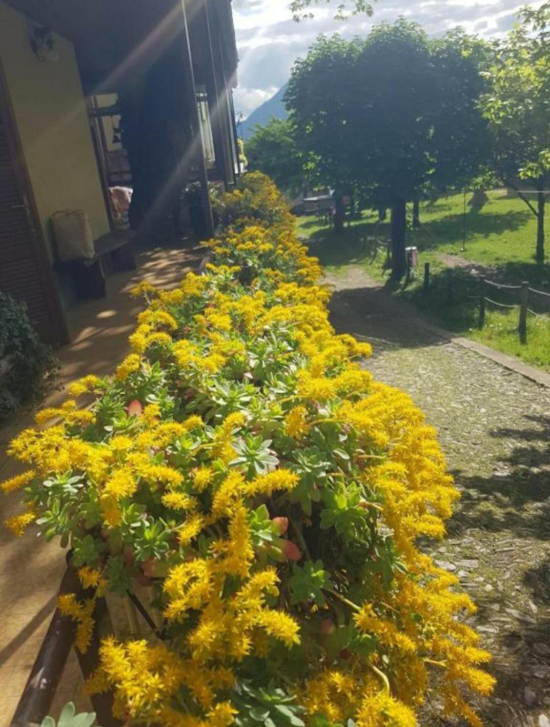 Apartmán Castagno 1 Sentiero Del Viandante Bellano Exteriér fotografie
